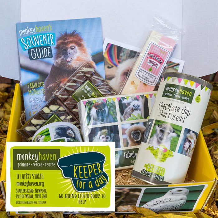 Goodie box with keeper for the Day card