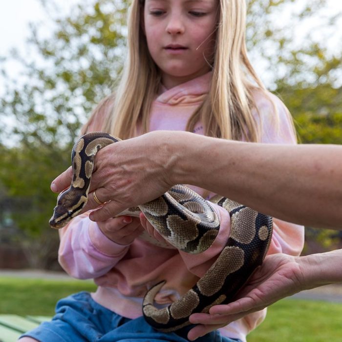 Girl holding a snake