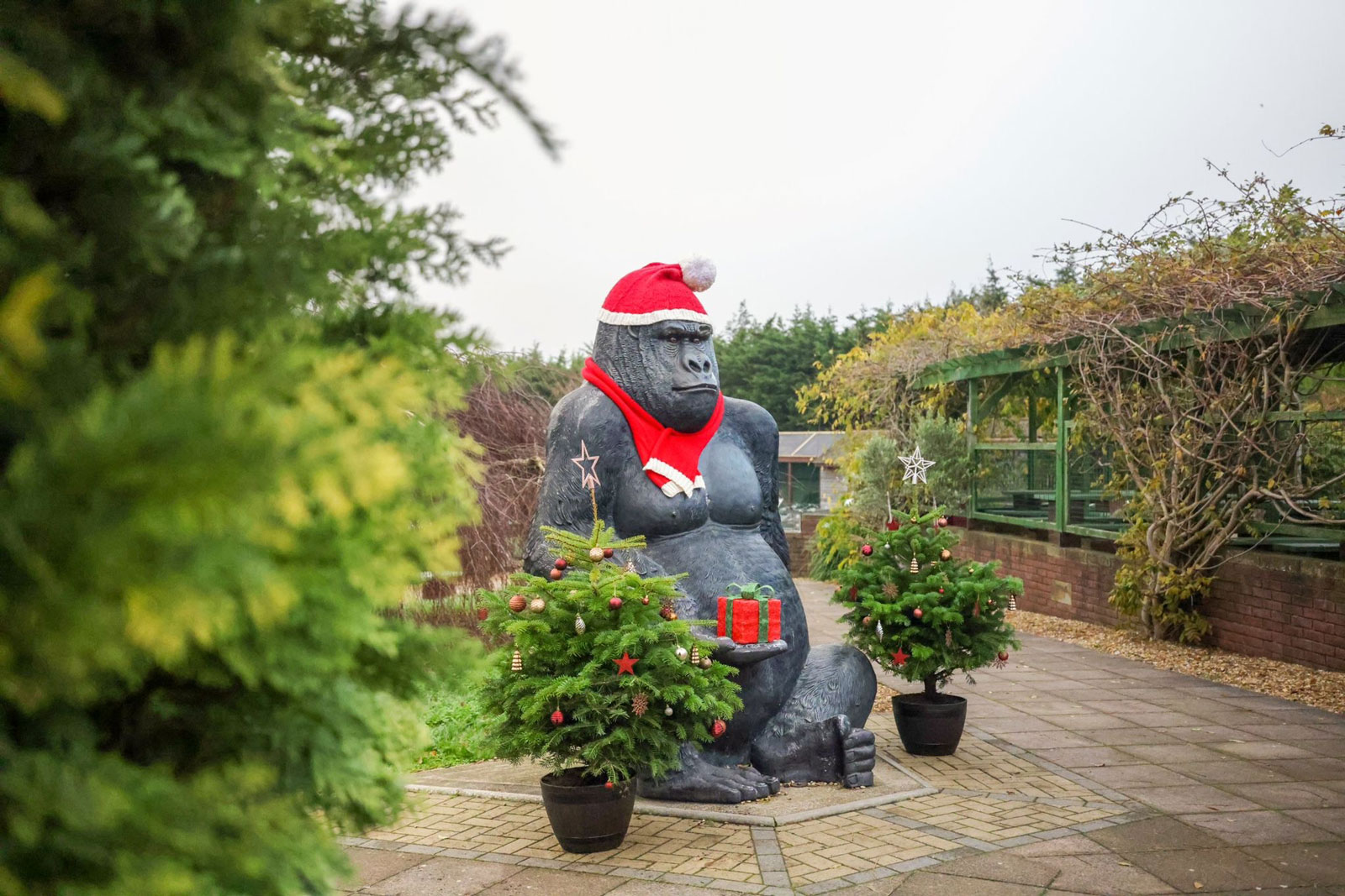 Monkey Haven Isle of Wight Primate Rescue Centre