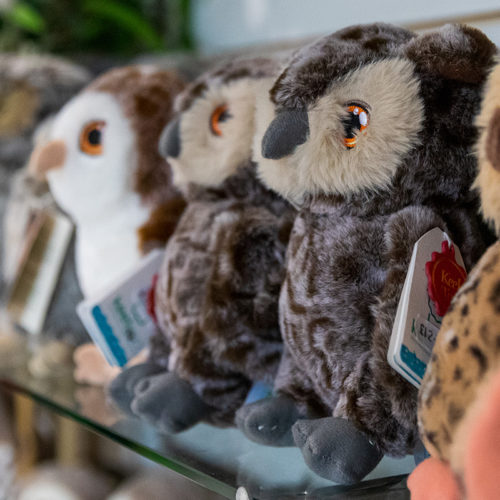 Keeleco cuddly owls on a shelf