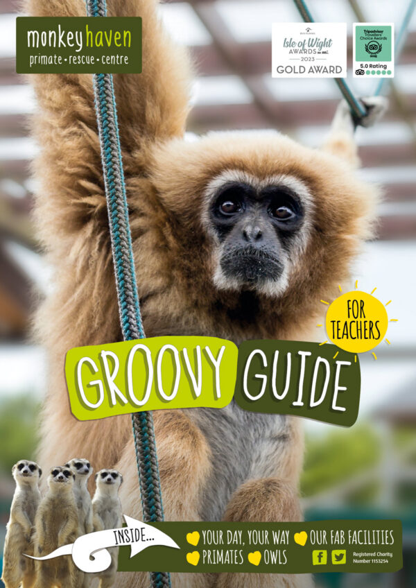 Plan your visit – Monkey Haven