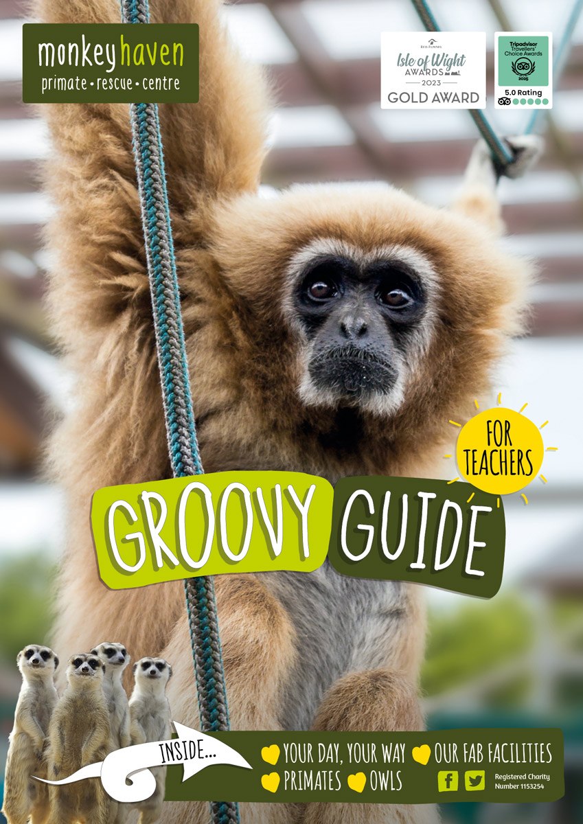 School trip groovy guide front cover